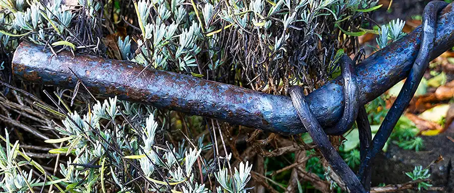 Monkey Wrench Railing-04905p