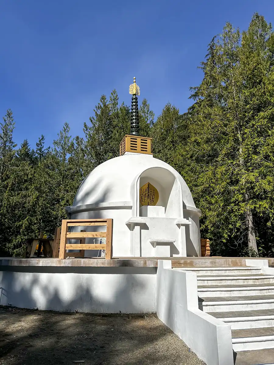 1 Zen Feature IMG_6340